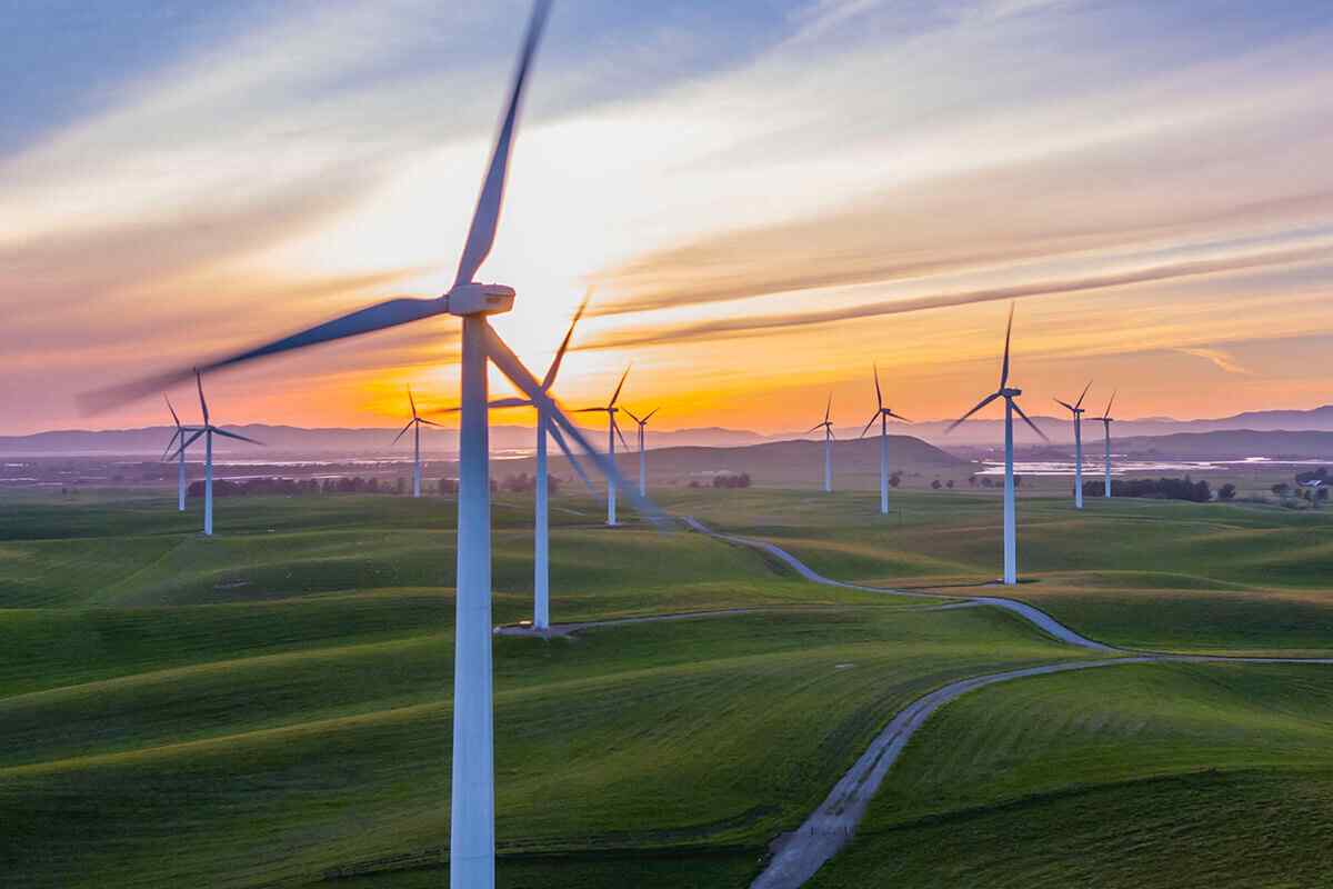 policies_03 http://yourcandidate.signmailer.com/wp-content/uploads/sites/5/2019/02/policies_03.jpg